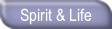 wp8529cdcf.png